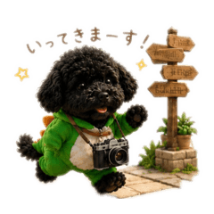 A Black Poodle's Trip1