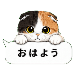 Calico Cat Stickers for Cat Lovers