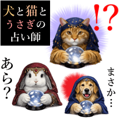 猫・犬・ウサギの占い師♥️