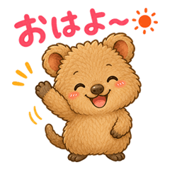 Cozy Quokka Everyday