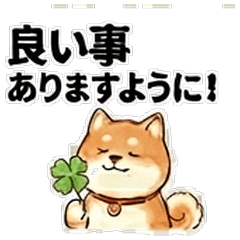 Akashiba Daily chat stickers