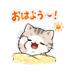 Cute Cat Dai