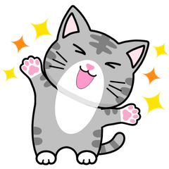 Everyday Mackerel Tabby Cat Reactions