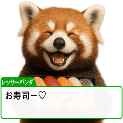 Red Pandas in Tokyo [Green]