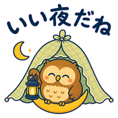 Tiny Net Owl Night Notes