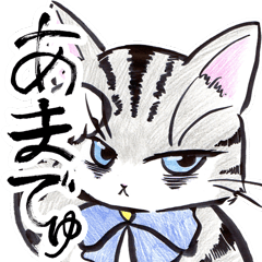 Night Owl Cat Amadyu