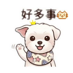 丸子馬爾生活日常1.0