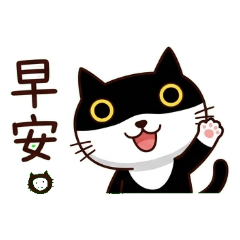 Cat EWawa