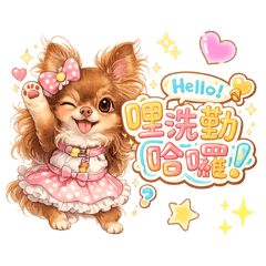長毛吉娃娃來講台語 台味滿滿!