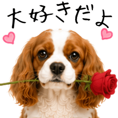 Realistic Cavalier Stickers