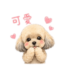 徐布丁2