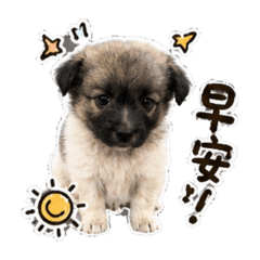 麻吉寶貝小時候