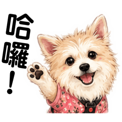 初一犬當家