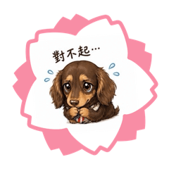 Q寶和比比生活日記