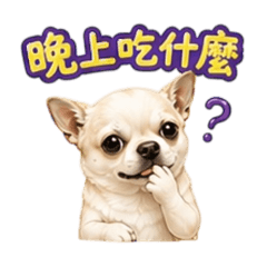 小吉日常吃食