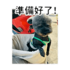 李Oreo合輯
