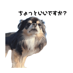 moko_20260526092905