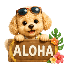 Moko_20260528124924