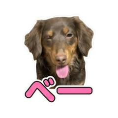 wata_everyday