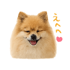pooh chan_20260528131921
