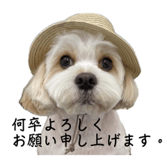 ANDY_stamp4