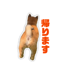 haru_20260528135843