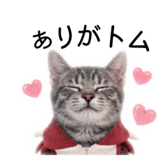 mana_20260528140602