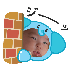 rmn_nako