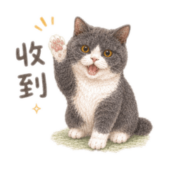 貓咪，豆花的可愛貼圖2