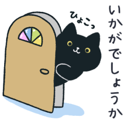 A neat black cat.