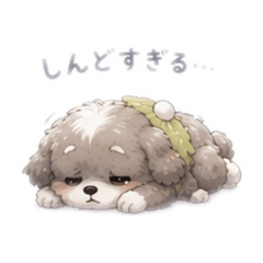 saku_20260528130243