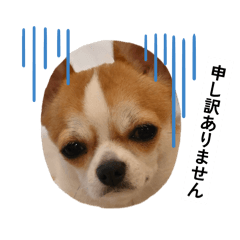 kotomi_20260528133210