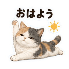neko_20260528132505