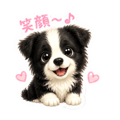 corochan_20260528135153