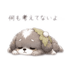 saku_20260528135631