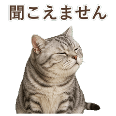 貓咪真心話 C061