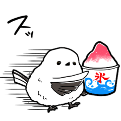 Shimaenaga brings summer-like presents
