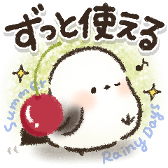 Shimaenaga Summer & Rainy Day