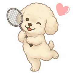 バドミントン☆犬１３（トイプードル）