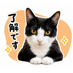 Yuka_20260528141921