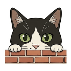 Shinnosuke the cat2