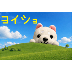 mamechan_20260526135606