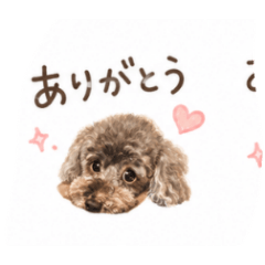 norino_20260528152545