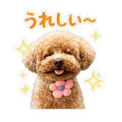 yukka_20260528162851