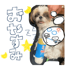 osanpouyu_20260528164736