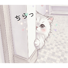 NYANKO_20260528
