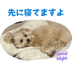 Haruka_20260529002214