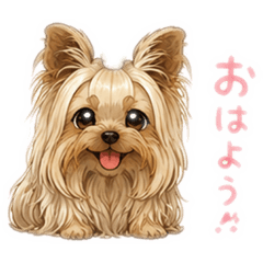 anshan_20260529013611