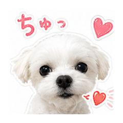 miki_20260529015232