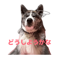 Yumi_20260529020608